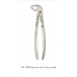 فورسپس بزرگسالان پرمولر و نیش پایین ویژه