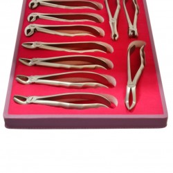 ست فورسپس بزرگسال (آناتومیک) ست فورسپس بزرگسال (آناتومیک)