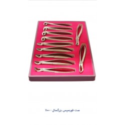  ست فورسپس بزرگسال 1100